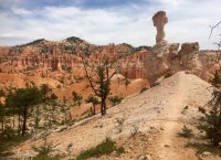 image.jpeg image.jpeg