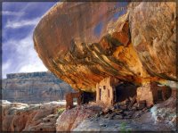 IMG_7275.jpg IMG_7275.jpg