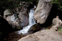 IMG_5308.jpg IMG_5308.jpg