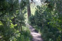 IMG_5323.jpg IMG_5323.jpg