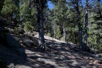 IMG_5320.jpg IMG_5320.jpg