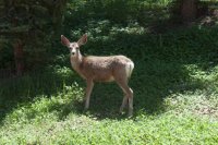 IMG_5350.jpg IMG_5350.jpg