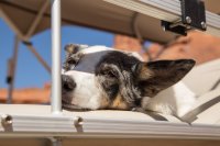 grott-850-2.jpg grott-850-2.jpg