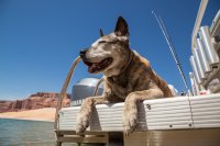 grott-850-4.jpg grott-850-4.jpg