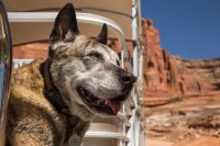 grott-850-6.jpg grott-850-6.jpg