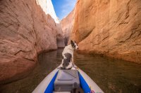 grott-850-17.jpg grott-850-17.jpg