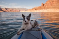 grott-850-22.jpg grott-850-22.jpg