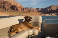 grott-850-27.jpg grott-850-27.jpg