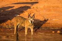 grott-850-33.jpg grott-850-33.jpg