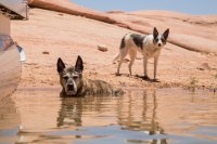 grott-850-36.jpg grott-850-36.jpg