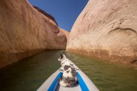 grott-850-41.jpg grott-850-41.jpg