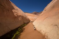 grott-850-44.jpg grott-850-44.jpg