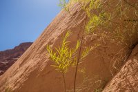 grott-850-47.jpg grott-850-47.jpg