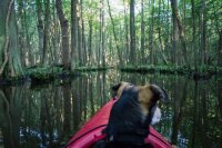 DSC05515-1.JPG DSC05515-1.JPG