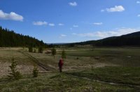 13507128_10154295529769766_1872346140092977041_n (1).jpg