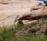 DetailZoom.jpg DetailZoom.jpg