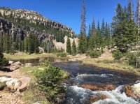 Naturalist Stream.jpg