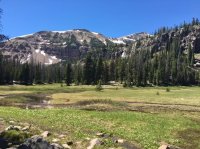 Naturalist basin.jpg