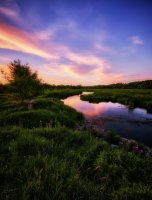 IMG_1485.JPG IMG_1485.JPG