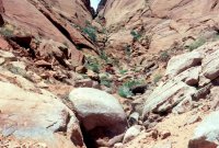 1980 Hole in the Rock Canoe Trip - 06.jpg