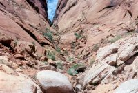 1980 Hole in the Rock Canoe Trip - 05.jpg