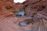 IMG_8501.jpg IMG_8501.jpg