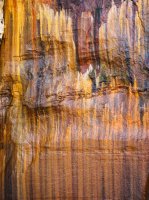 P7044439.jpg P7044439.jpg