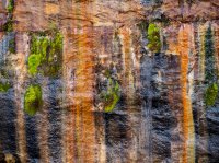 P7044443.jpg P7044443.jpg