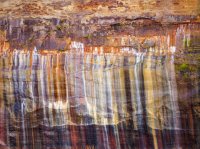 P7044448.jpg P7044448.jpg