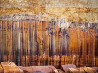 P7044469.jpg P7044469.jpg