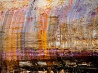 P7044483.jpg P7044483.jpg