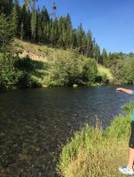 image.jpeg image.jpeg