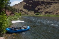 IMG_1572.jpg IMG_1572.jpg