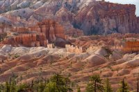 bryce-2016-850-29.jpg