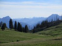 IMG_1762.JPG IMG_1762.JPG