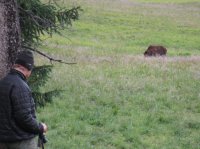 IMG_1793.JPG IMG_1793.JPG