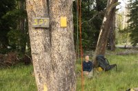 IMG_8700.JPG IMG_8700.JPG