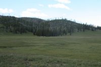 IMG_8758.JPG IMG_8758.JPG