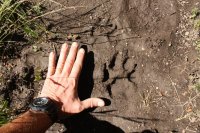 IMG_8788.JPG IMG_8788.JPG