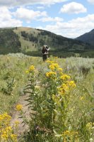 IMG_8904.JPG IMG_8904.JPG