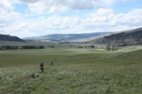 IMG_8933.JPG IMG_8933.JPG