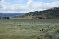 IMG_8938.JPG IMG_8938.JPG