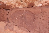 IMG_5067_baby feet.JPG