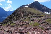 IMG_7553.JPG IMG_7553.JPG