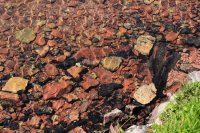 IMG_7587.JPG IMG_7587.JPG