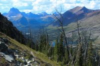 IMG_7603.JPG IMG_7603.JPG