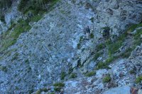 IMG_7607.JPG IMG_7607.JPG