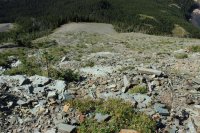 IMG_7613.JPG IMG_7613.JPG