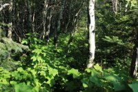 IMG_7623.JPG IMG_7623.JPG