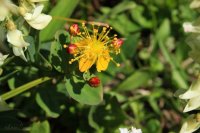 IMG_7746.JPG IMG_7746.JPG